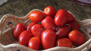 Photo of Seasonal Fruity Tomatoes