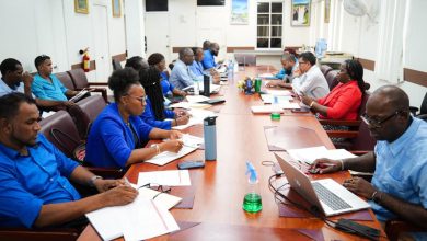 Photo of Gov’t, GTU differ over period for salary talks – -union will not be accepting `single digits’ – Lyte