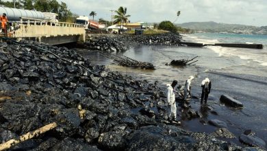 Photo of Bonaire gov’t eyes legal action over Tobago oil spill