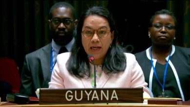 Photo of Guyana calls on Israel, Iran to exercise maximum restraint