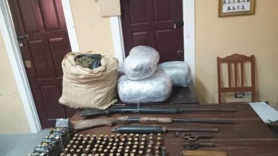Photo of Police unearth cannabis, guns, ammo during Upper Berbice River raid