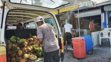 Photo of Exports and El Nino ramp up coconut shortage