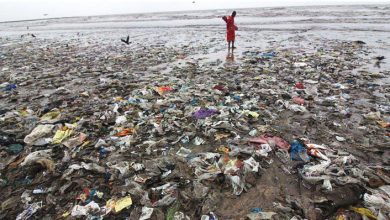 Photo of Global plastics pollution lobby belongs on Guyana’s oil-driven development radar