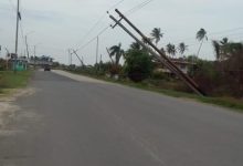 Photo of Fallen poles cause power disruption in Berbice