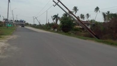Photo of Fallen poles cause power disruption in Berbice