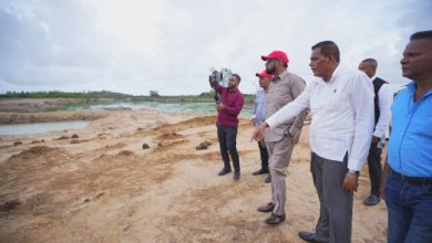 Photo of Onverwagt prawns project set to yield around $48m per crop