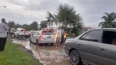 Photo of Lamaha Gardens residents bemoan  disruption of once serene community