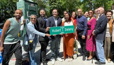 Photo of Street co-named for Judge Hubert Delany