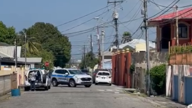 Photo of Two brothers shot dead by police in Trinidad