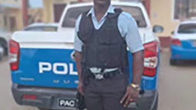 Photo of Cop in Wellington Public Road accident succumbs