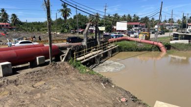 Photo of Adventure pump station finally comes into operation