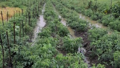 Photo of Linden, Black Bush residents want flood relief