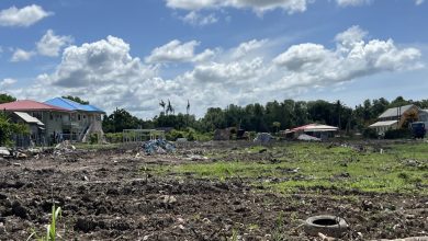 Photo of Work starting on nursing school for New Amsterdam