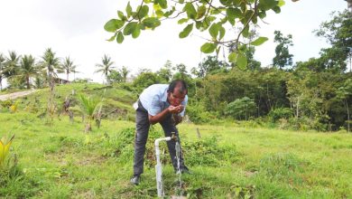 Photo of State has violated rights of Isseneru villagers – IACHR