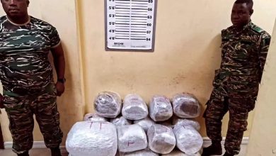 Photo of GDF ranks remanded on trafficking in marijuana charge