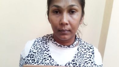 Photo of Zeelugt woman charged with attempting to murder daughter