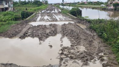 Photo of Johanna, Black Bush farmers complain about paddy bugs, poor dams