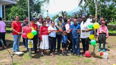 Photo of Solar mini-grids commissioned at Sebai, Canal Bank