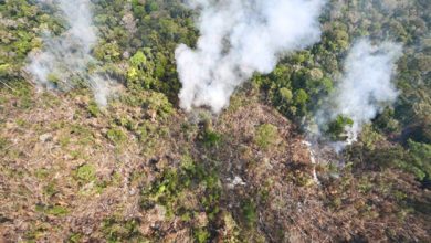 Photo of Amazon Forest fires continue to degrade Brazil’s environmental bona fides