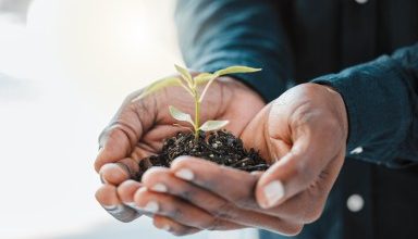 Photo of US launches Coalition for Climate Entrepreneurship Hub in Jamaica