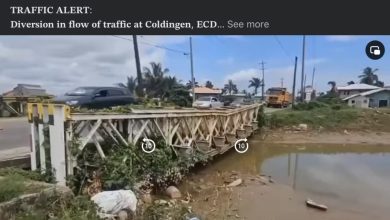 Photo of Emergency works being done on Coldingen bridge