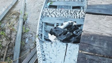 Photo of Men on Berbice River boat flee, leave 135 lbs of cannabis