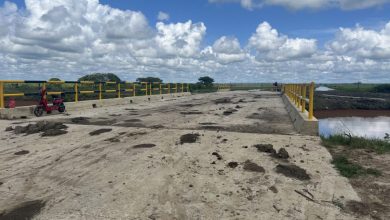 Photo of Upper Corentyne farmers enthused about ongoing drainage project