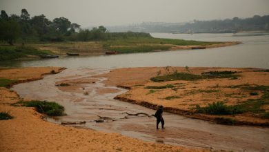 Photo of South America’s rivers hit record lows as Brazil drought impact spreads