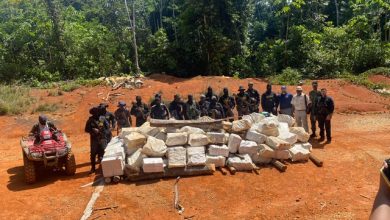 Photo of Massive cocaine bust at Matthews Ridge