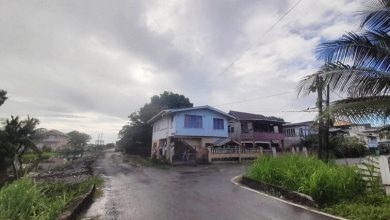 Photo of High Court rules against owners of three properties blocking construction of new harbour bridge