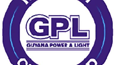 Photo of Pile driving could have been responsible for GPL outages – Nandlall