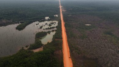 Photo of Brazil’s Lula backs highway through Amazon that could drive deforestation