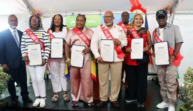 Photo of Pols, grand marshals and honors at Caribbean Carnival