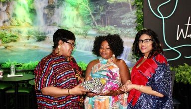 Photo of Guyanese join Nigerian UN delegates to discuss gender gap in STEM