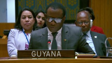 Photo of States must exist without threat to territorial integrity– Todd tells UN Security Council