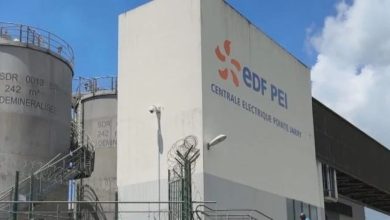 Photo of Guadeloupe without power after striking workers switch off EDF plant motors