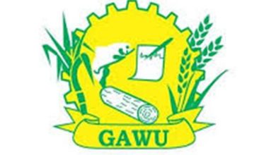 Photo of GAWU concerned at sugar output, blisters management