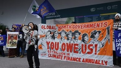 Photo of COP29 climate talks grapple with trillion-dollar task