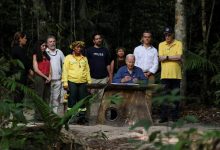 Photo of Biden visits Amazon rainforest en route to G20 summit in Rio