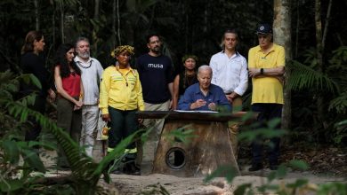 Photo of Biden visits Amazon rainforest en route to G20 summit in Rio