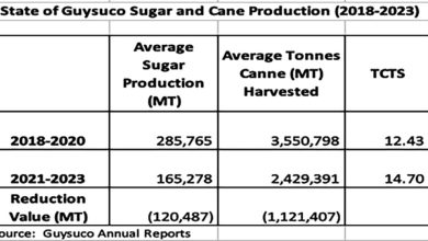 Photo of The future of the sugar industry has to be framed by what measures are needed to get back on that 2021-2026 Strategic Plan