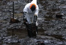 Photo of Peru declares environmental emergency after oil spill