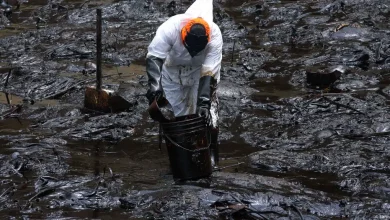 Photo of Peru declares environmental emergency after oil spill