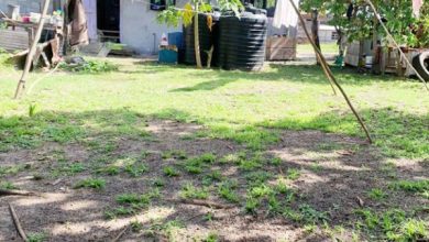 Photo of Mahdia and Campbelltown residents struggle with poor water supply, inadequate power