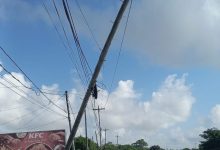 Photo of Bus smashes GPL pole at De Kinderen, knocks out power