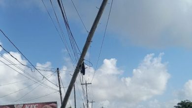 Photo of Bus smashes GPL pole at De Kinderen, knocks out power