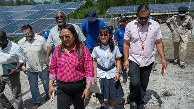 Photo of Solar photovoltaic farm commissioned in Mahdia