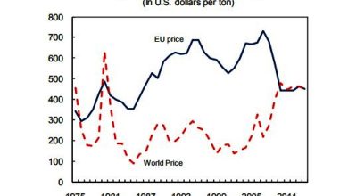 Photo of GuySuCo must reduce its cost of production to competitive world market price levels to turn its loss making activity into a profitable venture