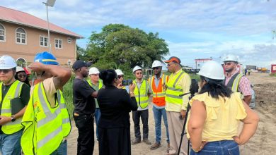 Photo of New harbour bridge completion further delayed to August –Edghill