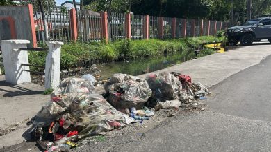 Photo of City still plagued with unsightly garbage accumulation